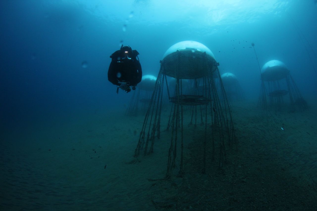 Scena tratta dalle serie TV prodotte da Point Nemo